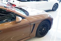 پۆڕش پانەمێرا